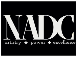 NADC ARTISTRY POWER EXCELLENCE trademark