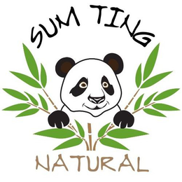 SUM TING NATURAL trademark
