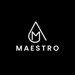 M MAESTRO trademark