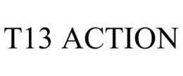T13 ACTION trademark