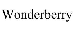 WONDERBERRY trademark