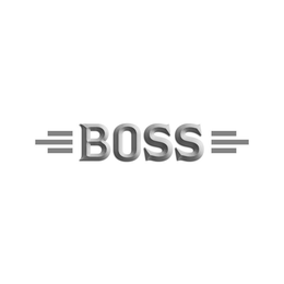 BOSS trademark