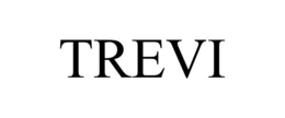 TREVI trademark