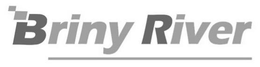 BRINY RIVER trademark