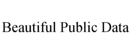 BEAUTIFUL PUBLIC DATA trademark