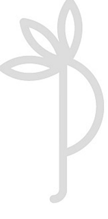 P trademark