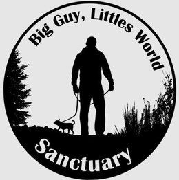 BIG GUY, LITTLES WORLD SANCTUARY trademark