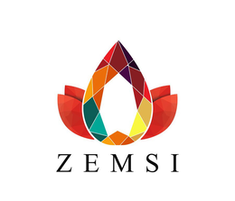ZEMSI trademark