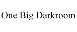 ONE BIG DARKROOM trademark