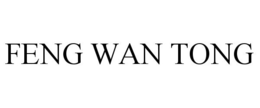 FENG WAN TONG trademark