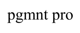 PGMNT PRO trademark