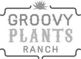 GROOVY PLANTS RANCH trademark