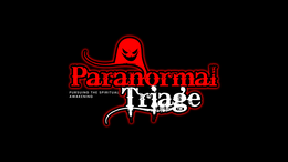 PARANORMAL TRIAGE PURSUING THE SPIRITUAL AWAKENING trademark
