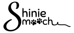 SHINIE SMOOCH trademark