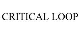 CRITICAL LOOP trademark