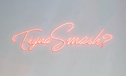 TRYNA SMASH? trademark