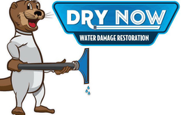 DRY NOW WATER DAMAGE RESTORATION trademark