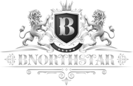 B BNORTHSTAR trademark
