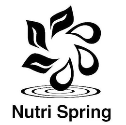 NUTRI SPRING trademark