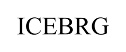 ICEBRG trademark