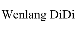 WENLANG DIDI trademark