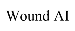 WOUND AI trademark