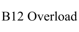 B12 OVERLOAD trademark