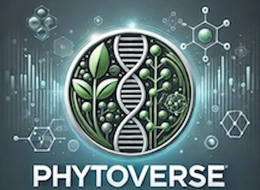 PHYTOVERSE trademark