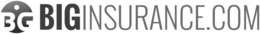 BG BIGINSURANCE.COM trademark