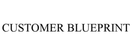 CUSTOMER BLUEPRINT trademark
