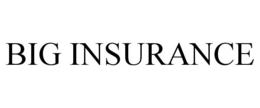 BIG INSURANCE trademark