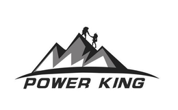 POWER KING trademark