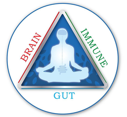 BRAIN IMMUNE GUT trademark