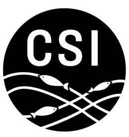 CSI trademark