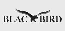 BLACKBIRD trademark
