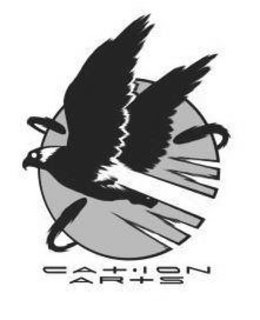 CATION ARTS trademark
