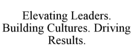 ELEVATING LEADERS. BUILDING CULTURES. DRIVING RESULTS. trademark