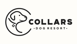 COLLARS DOG RESORT trademark