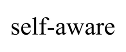 SELF-AWARE trademark