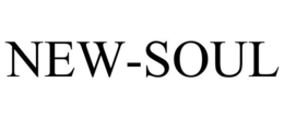 NEW-SOUL trademark