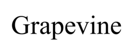 GRAPEVINE trademark