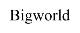 BIGWORLD trademark