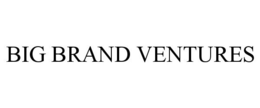 BIG BRAND VENTURES trademark