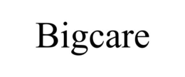 BIGCARE trademark