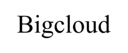 BIGCLOUD trademark
