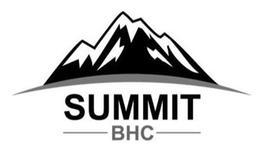SUMMIT BHC trademark