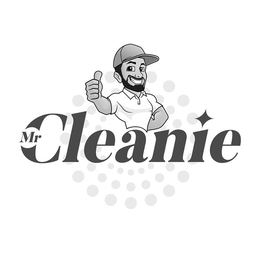MR CLEANIE trademark