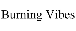 BURNING VIBES trademark