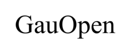 GAUOPEN trademark