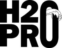 H2PRO trademark